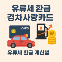 경차 유류세 환급, 최대 30만원 얼마나 돌려받을까? 계산법부터 카드 선택까지